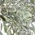 XYD113##GREEN#3_m.jpg