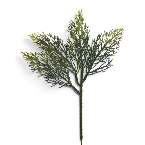 CH061##GREEN_m (1).jpg