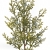 CH062##GREEN#3_m.jpg
