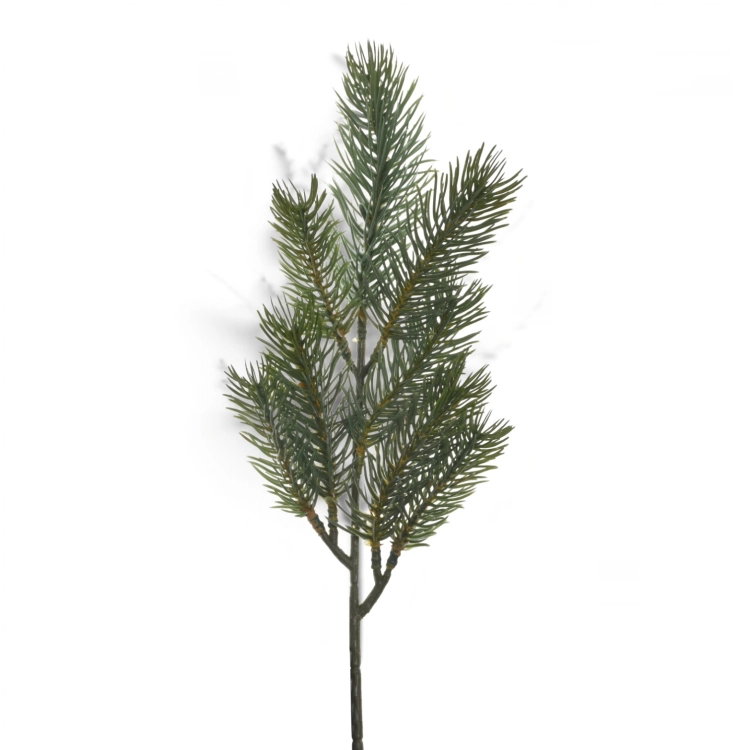 CH001##GREEN#2_m.jpg