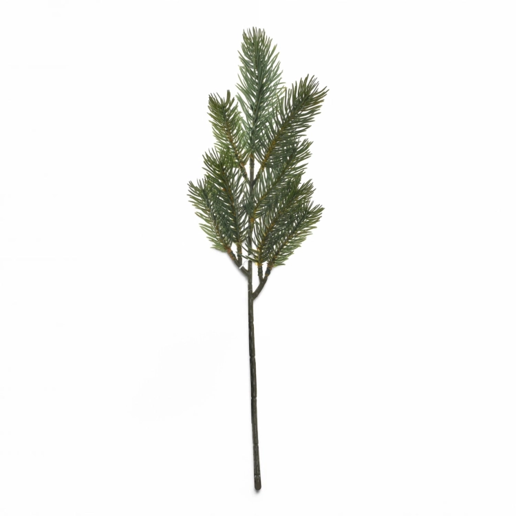 CH001##GREEN_m.jpg