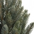 CH010##GREEN#3_m.jpg