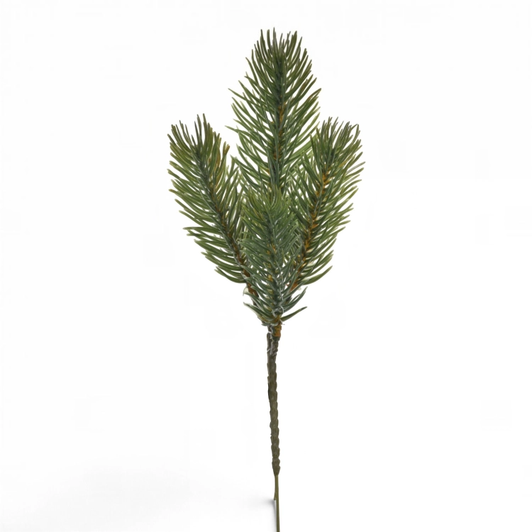 CH032##GREEN#1_m (1).jpg