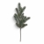 CH002##GREEN_m (1).jpg