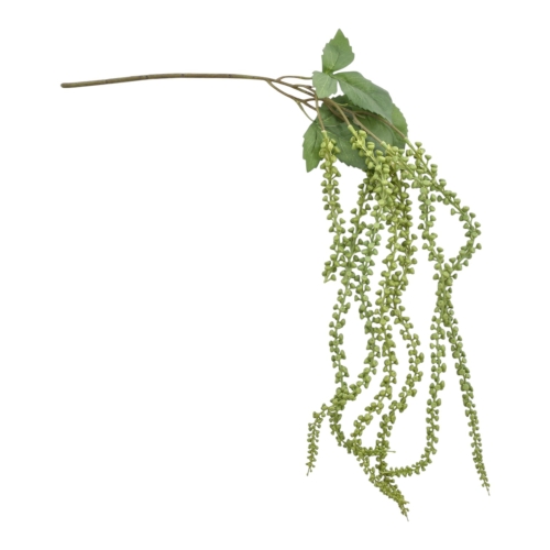JIA2009##JUICY GREEN#1_m.jpg
