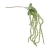 JIA2009##JUICY GREEN#1_m.jpg