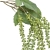 JIA2009##JUICY GREEN#2_m.jpg