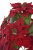 IMG_9549.png