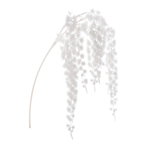 XYD125##WHITE#1_m.jpg
