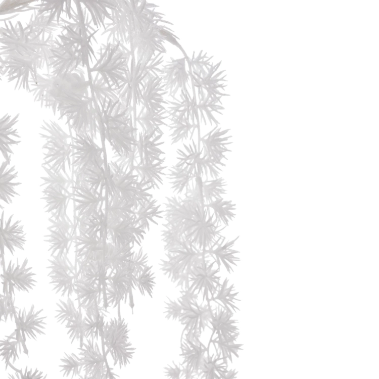 XYD125##WHITE#2_m.jpg