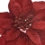 XYD128##RED#3_m.jpg