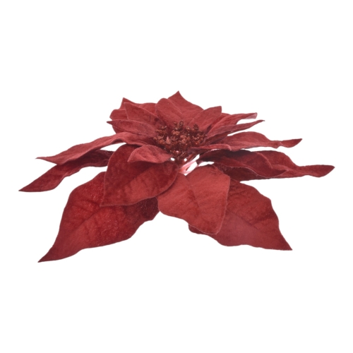 XYD127##RED#2_m.jpg
