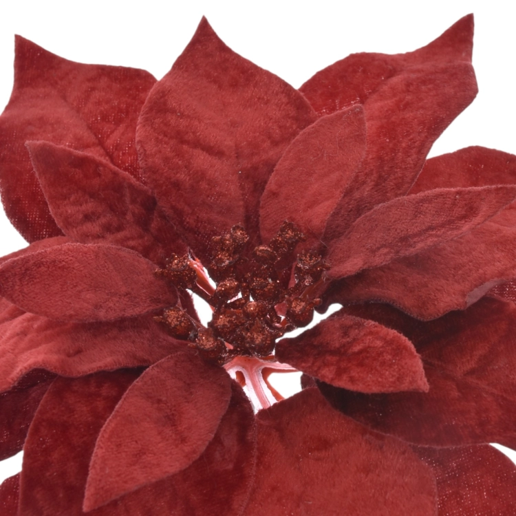 XYD127##RED#3_m.jpg