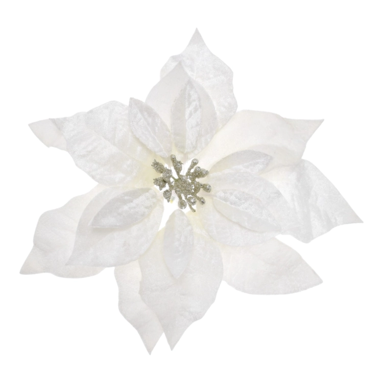 XYD127##WHITE#1_m.jpg