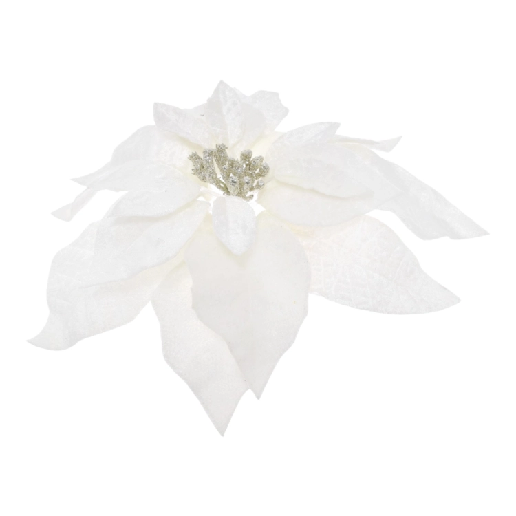 XYD127##WHITE#2_m.jpg