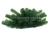 IMG_0618.jpg