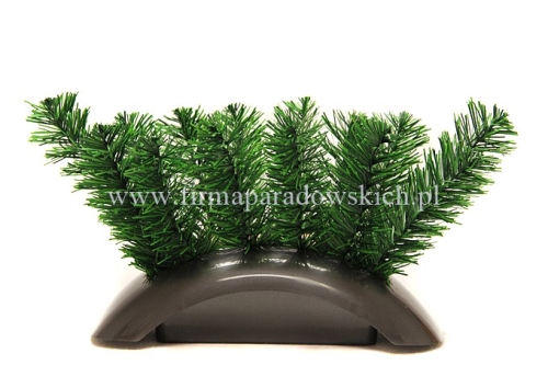 cemenciak Focus duży 1szt  