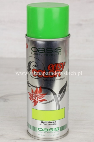 spray florystyczny kolorowy 1szt light green (30-05423)