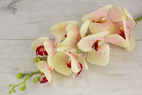 orchidea silikonowa 1szt krem/pud róż (AJ45998)
