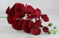 8c14a00bcac24f3a3db9cd3a6a75a103