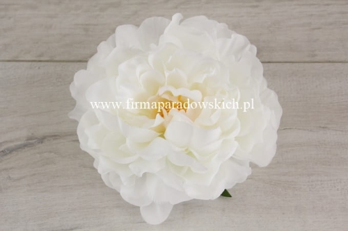 delikatna peonia wyrobowa 12szt #2009 biały  (SUN406)  A1332026A