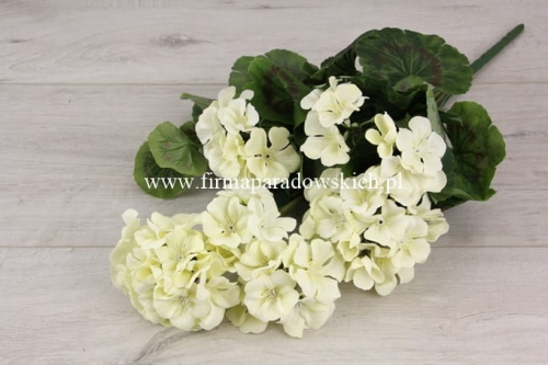 Stopniowany bukiet pelargonii 1szt ecru/słoneczny (AX39048)