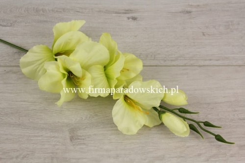 2989b94f3de5bfb6120e75d753cf581c