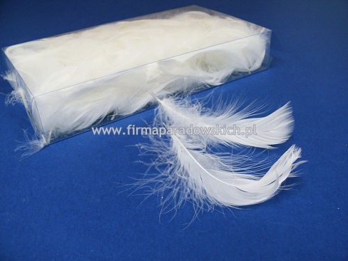 piórka w pudełku 1szt biały 
