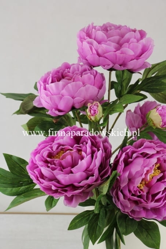 bukiet peonii 1szt #1667 fuchsia (SUN122) A1332026A