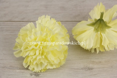 goździk cieniowany wyrobowy 20szt cytryna