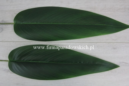 liść strelicji większy 12szt c zieleń (ART195)