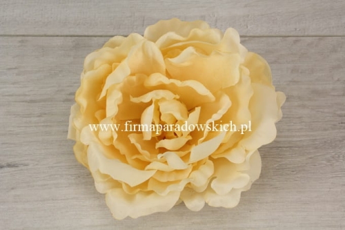peonia otwarta 1szt kremowy (L1021A)