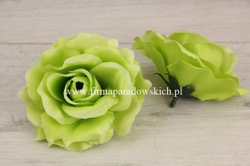 róża wyrobowa otwarta Sonia 12szt  jasny zielony (XYGR 491)