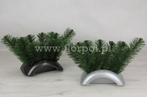 cemenciak focus średni 1szt 