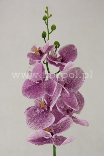 Orchidea silikonowana -ecru/różowe nakrapianie (AJ45998)