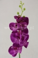 florpol firma paradowskich 16087.JPG