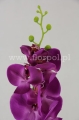 florpol firma paradowskich 16086.JPG