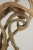 c14d8cd1075cd9d8df4084a90e5a45f0