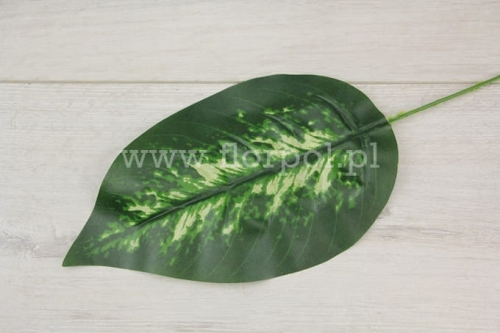 liść difenbachia 12szt ciemna zieleń/kremowe plamy
