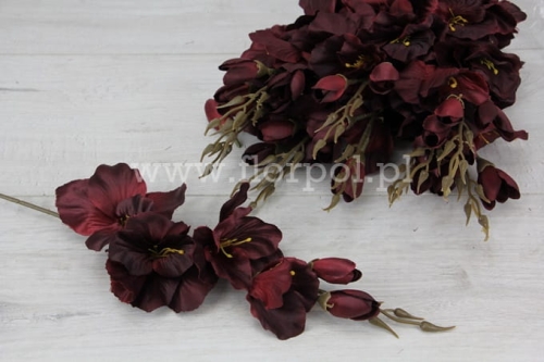 pojedynczy mieczyk 12szt bordo/karmin (G007)