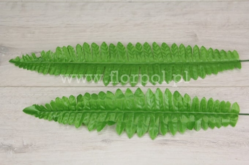 paproć liść – mniejszy 12szt jasna zieleń
