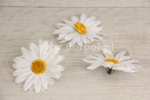 stokrotka duża 72szt biały