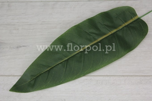 855fc9ccf9cde2b910b4e309c3ff43c1