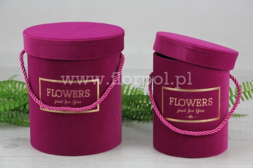 b57f4dd2237be02644a0ec1ff8da24e1