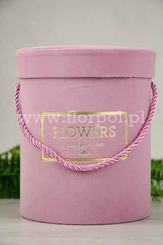 65e64559771a72d59d9052afc9887cd2