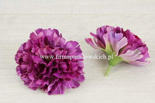 goździk cieniowany wyrobowy 20szt odc fiolet/fuksja/zieleń u nasady