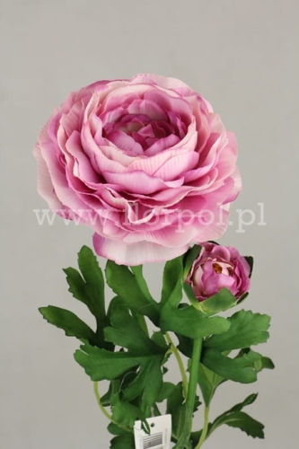 pojedynczy jaskier z pączkiem 1szt odc różowego  w (MY178)