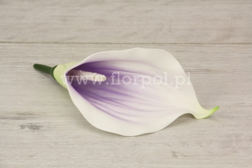 kalla piankowa mniejsza 24szt ecru/jasny fiolet u nasady 