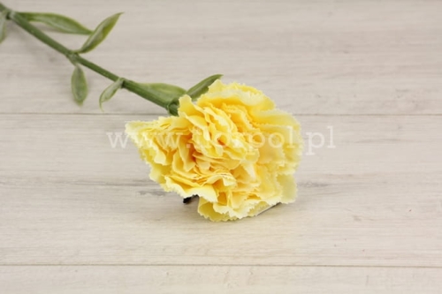 Goździk wysoki atłasowy 1szt #3399V  lt yellow (SUN005)