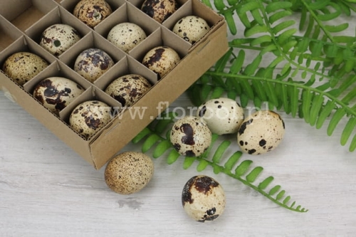 naturalne przepiórcze wydmuszki 20szt (WIPK-4-11857-24)